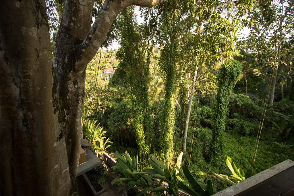 Labak River Hotel By Eps Ubud Kültér fotó