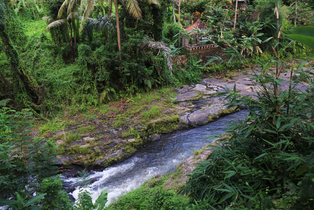 Labak River Hotel By Eps Ubud Kültér fotó